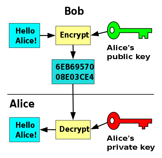  Actual public/private keys look more like  this  